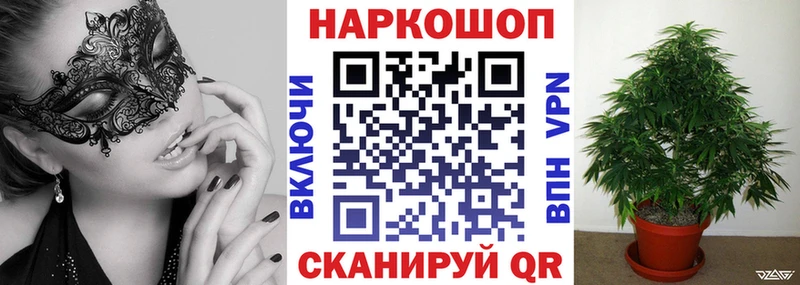 Где купить Темников Alpha PVP  МЕТАМФЕТАМИН  КОКАИН  Галлюциногенные грибы  Марихуана  ГАШ  Мефедрон 