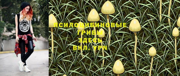 соль ск Аркадак