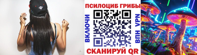 ссылка на мегу как войти  Темников  Галлюциногенные грибы Cubensis 